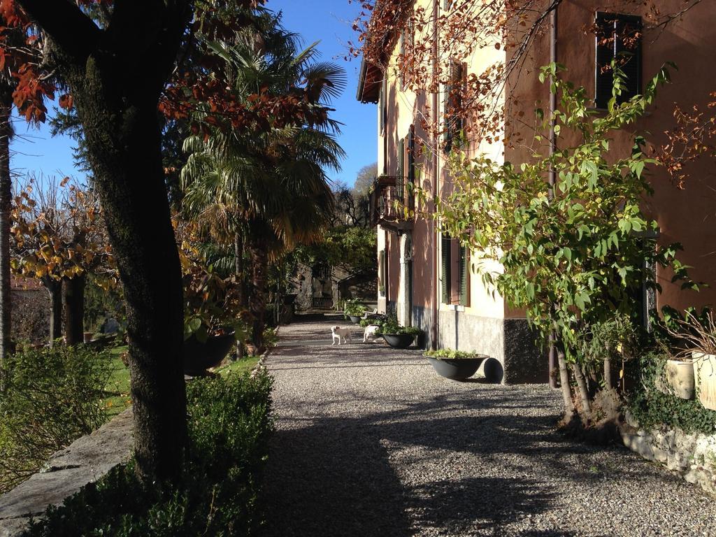 Antico Glicine B&B Maslianico Exterior foto