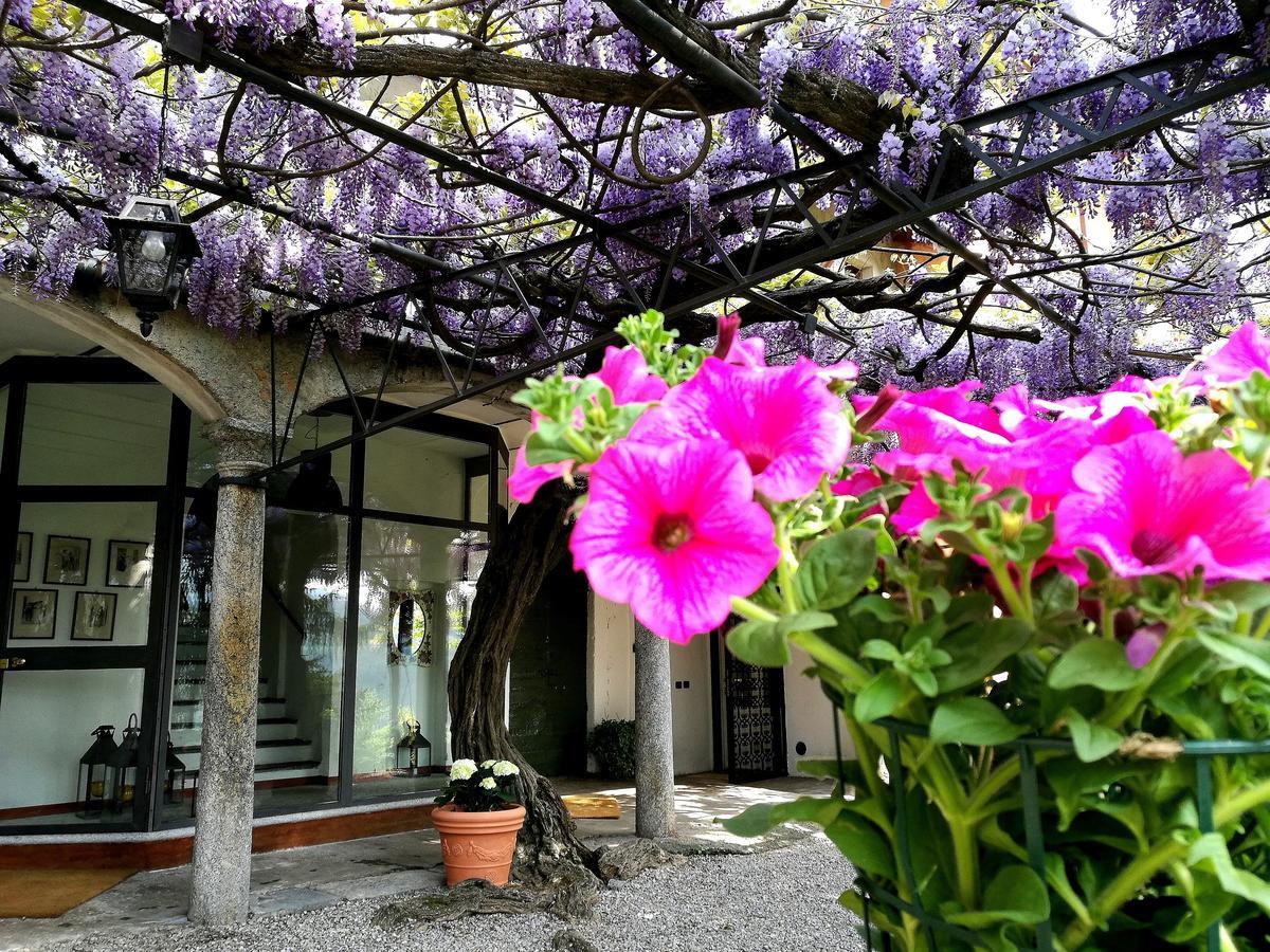 Antico Glicine B&B Maslianico Exterior foto
